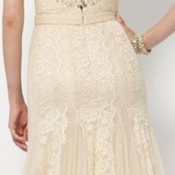 BLUSH Champagne Lace Rustic Wedding Dress, Cap Sleeve, Boat Neck Elegant Mother - Picture 4 of 15